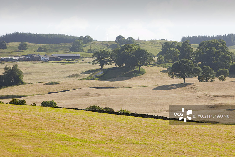 夏天干涸的田野图片素材