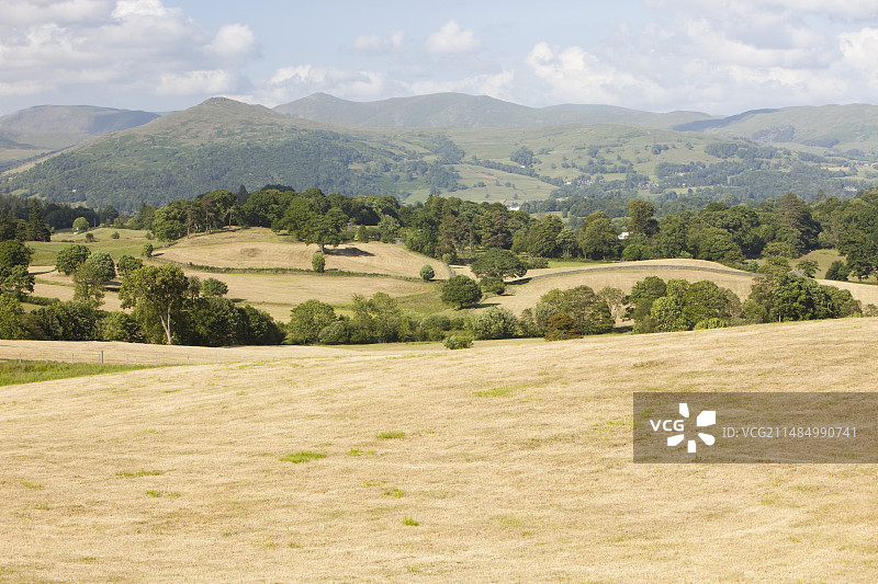 夏天干涸的田野图片素材