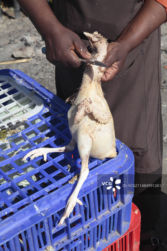 拔鸡毛图片素材