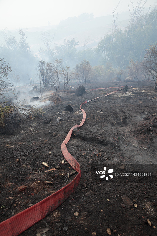 闷烧灌木丛中的消防水带图片素材