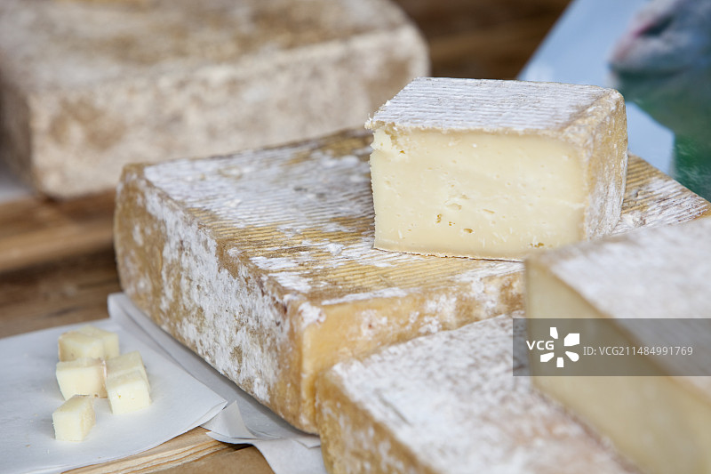 母羊奶酪图片素材