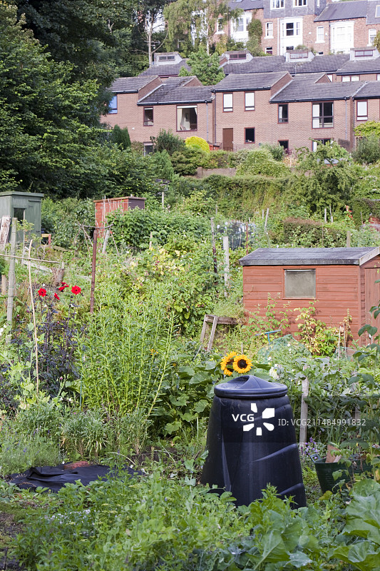 英国的农田图片素材