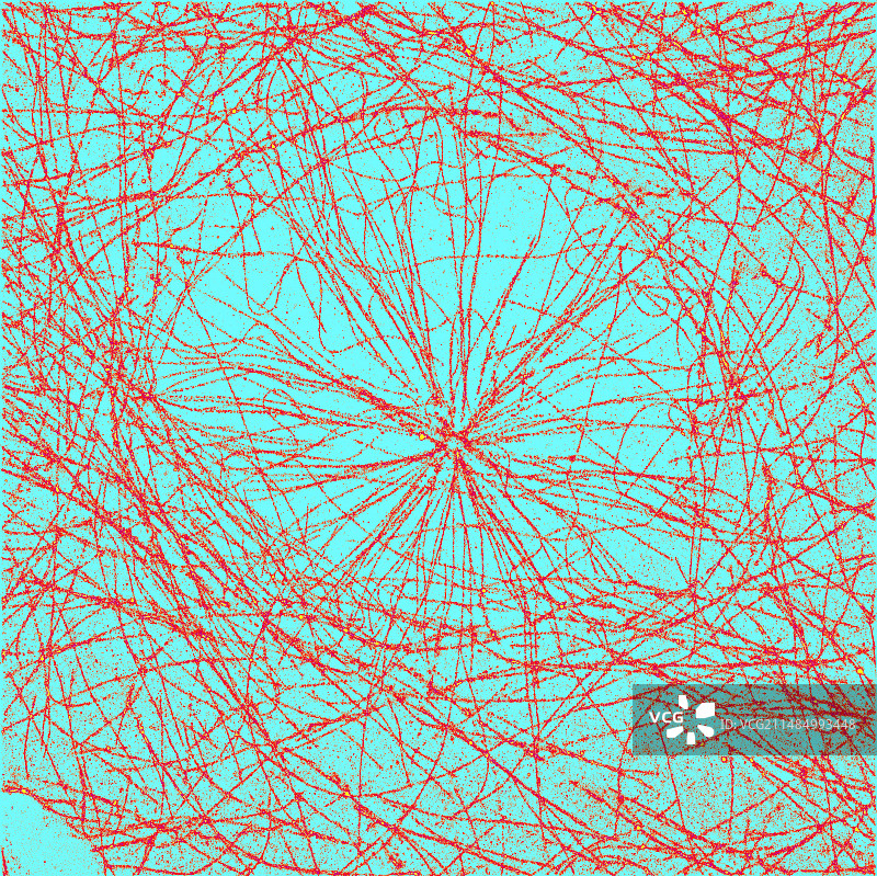 微管荧光显微照片图片素材