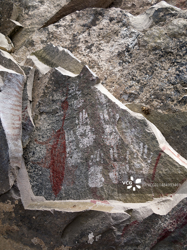史前鸭子绘画图片素材