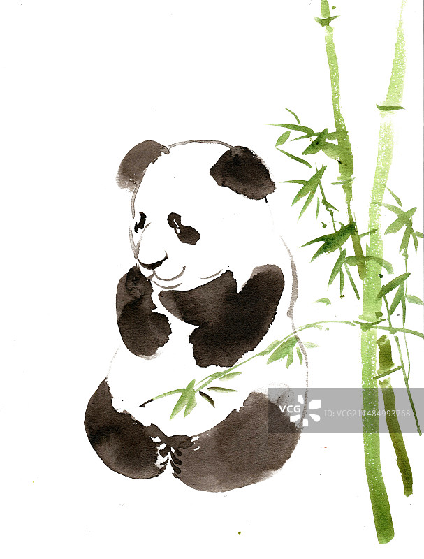 竹子旁的大熊猫图片素材
