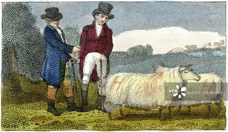 农民讨论迪什利绵羊图片素材