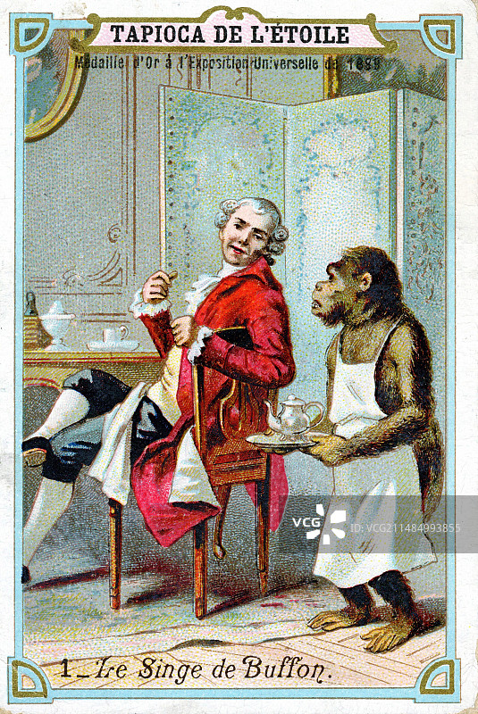 法国博物学家比丰伯爵图片素材