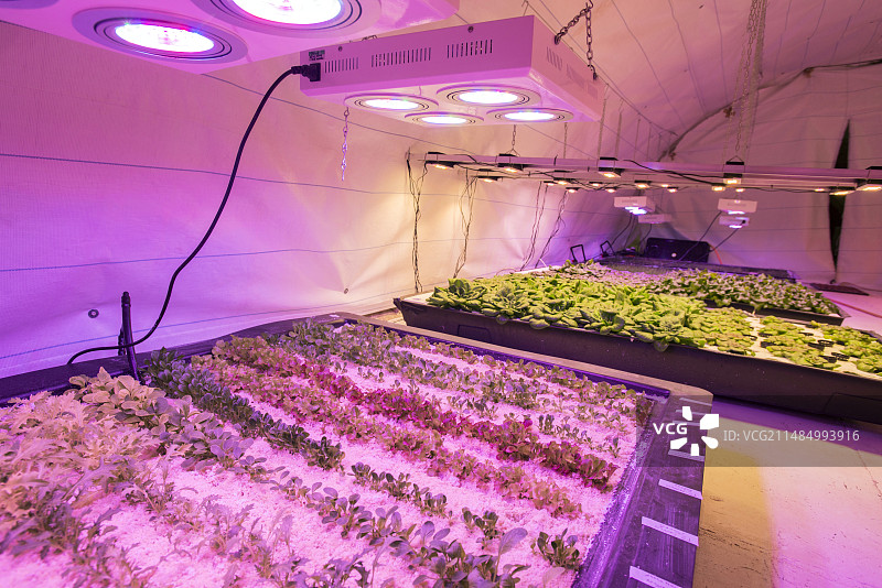 地下园艺图片素材