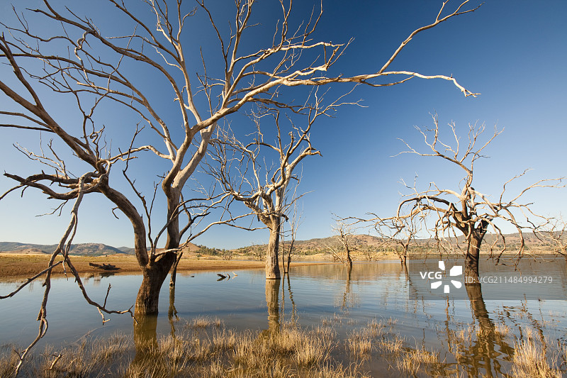 澳大利亚埃尔登湖旱情图片素材