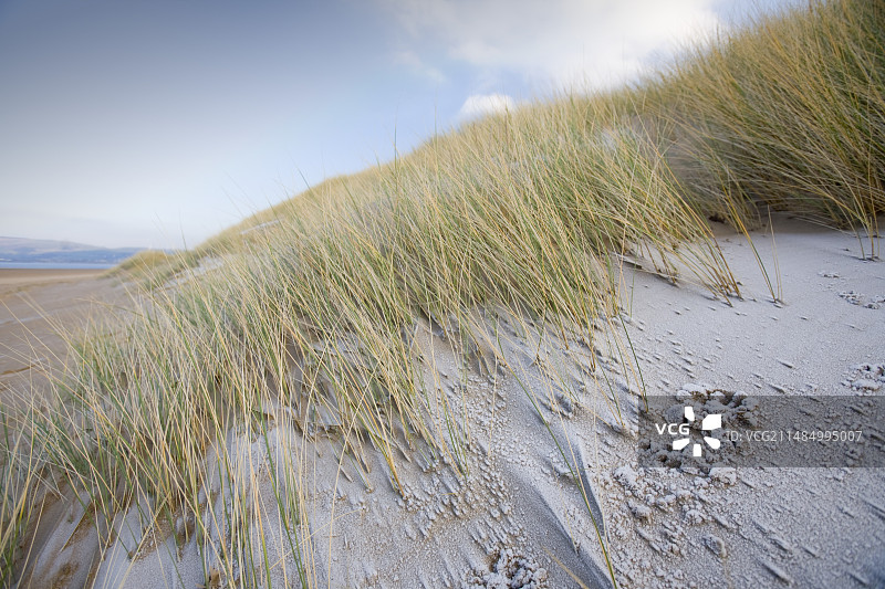 海滩上的冰霜图片素材