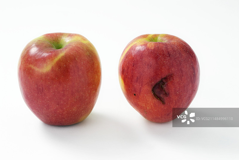 碰伤的苹果图片素材