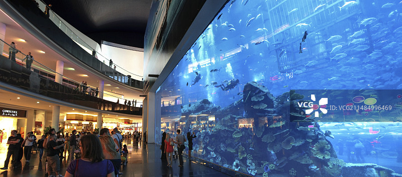 迪拜水族馆图片素材