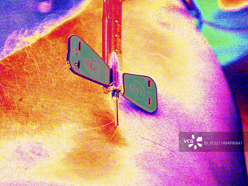 用蝶形导管抽血图片素材