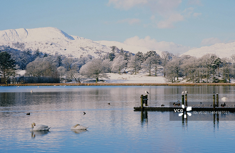 雪中的温德米尔湖，英国图片素材