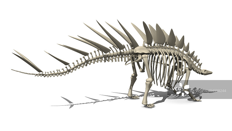 钉状龙恐龙，艺术作品图片素材