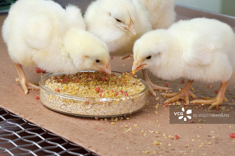 疫苗输送系统图片素材