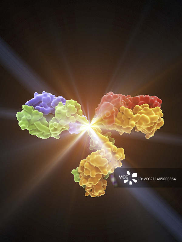 IgG2a单克隆抗体图片素材