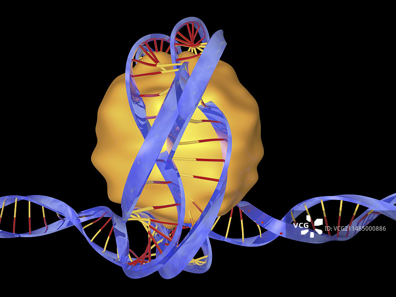 DNA包装艺术作品图片素材