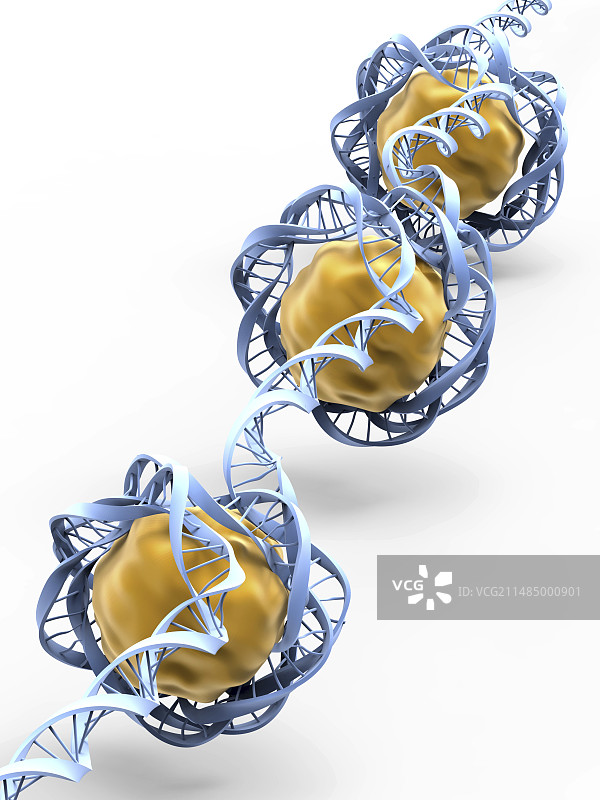 DNA包装艺术作品图片素材