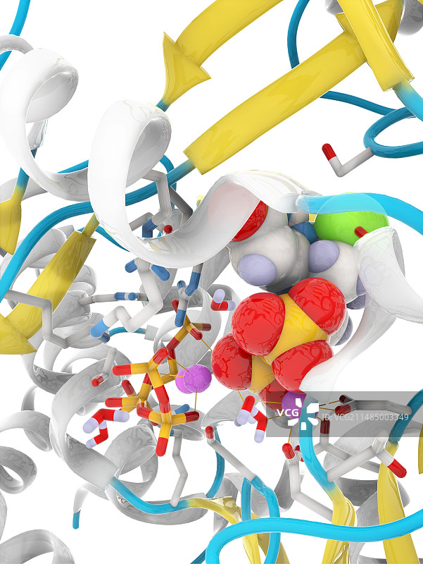丙型肝炎聚合酶分子图片素材