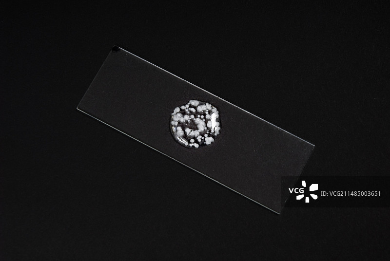 水杨酸苯酯快速冷却结晶图片素材