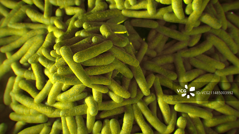 丙酸杆菌，图示图片素材