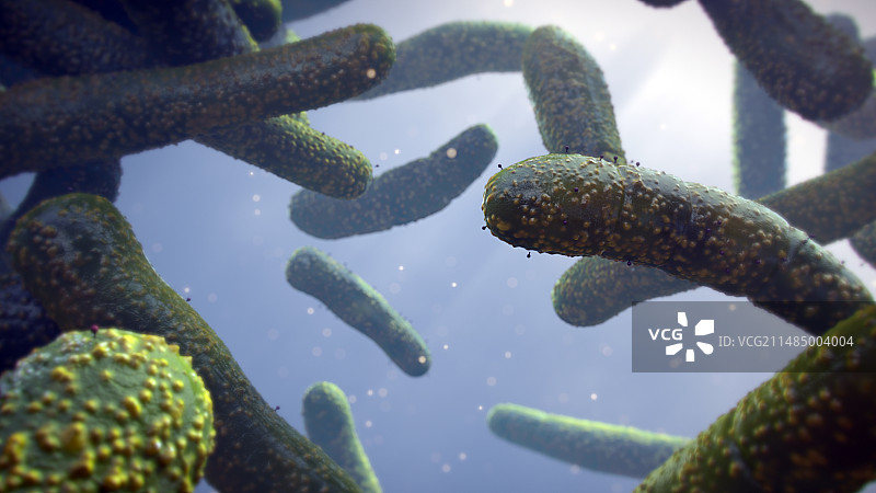 细菌与噬菌体插图图片素材