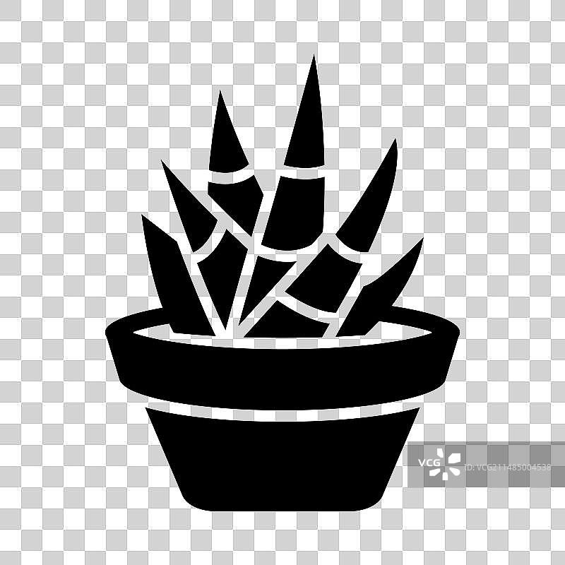 可用于个人的斑马植物标志图片素材