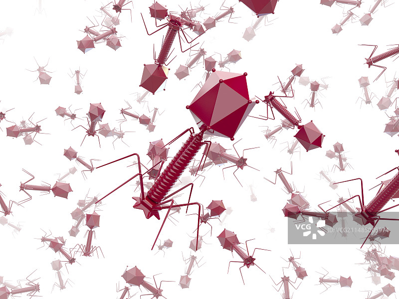 T4噬菌体病毒，图示图片素材