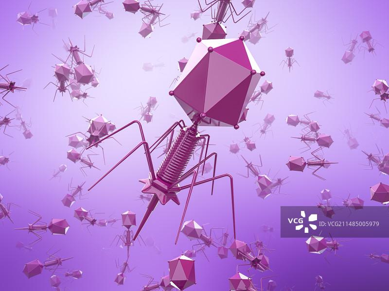 T4噬菌体病毒，图示图片素材