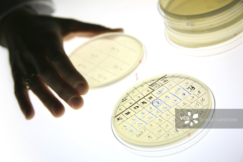 肺癌研究图片素材