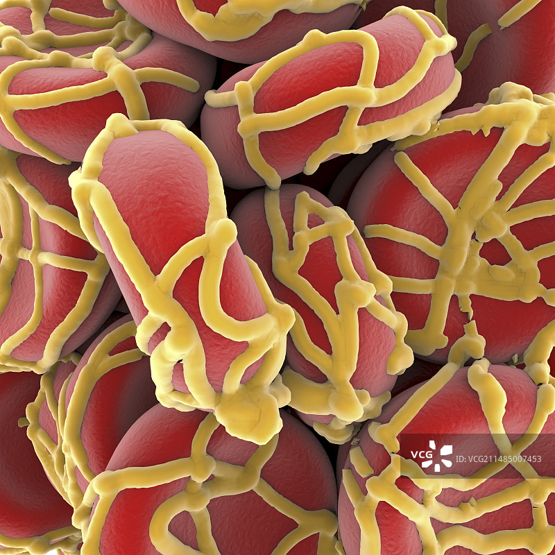 血凝块图片素材