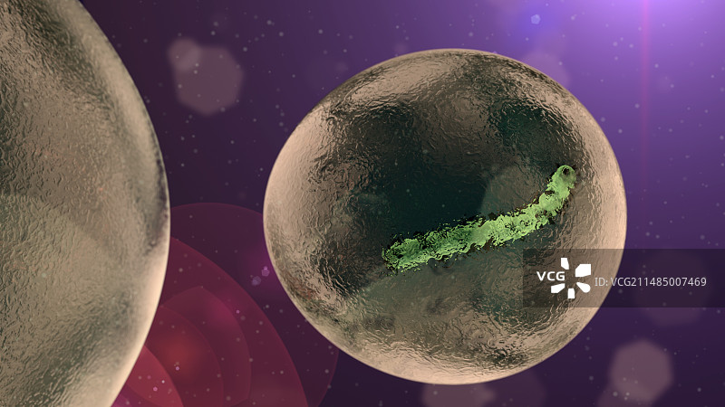 埃博拉病毒颗粒图示图片素材