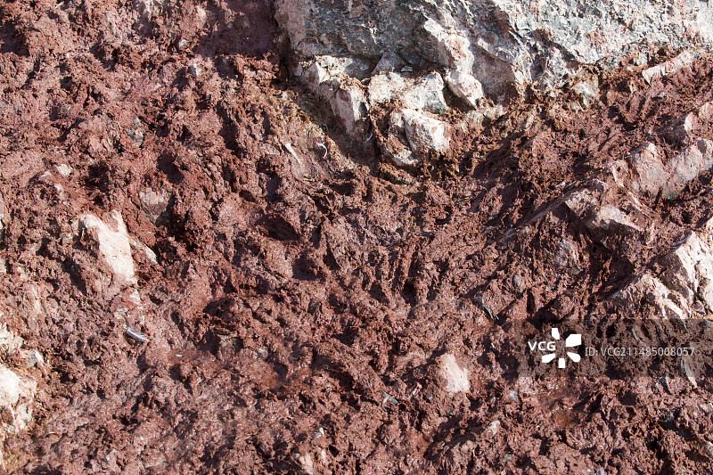 阿德利企鹅栖息地的鸟粪图片素材
