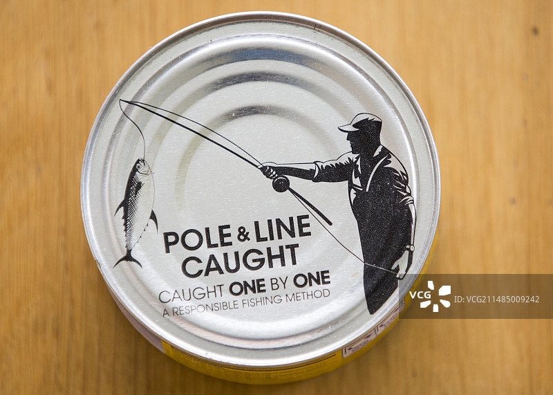 可持续捕捞的金枪鱼图片素材