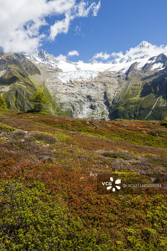 波塞特针峰图片素材