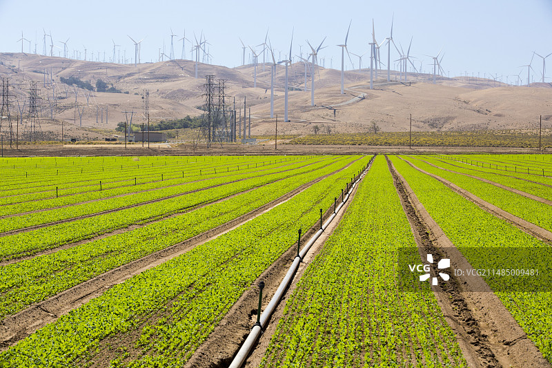 特哈查比山口灌溉的农作物图片素材