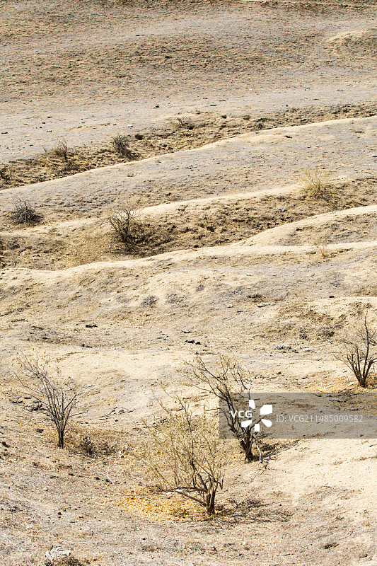 贝克斯菲尔德干旱的牧场图片素材