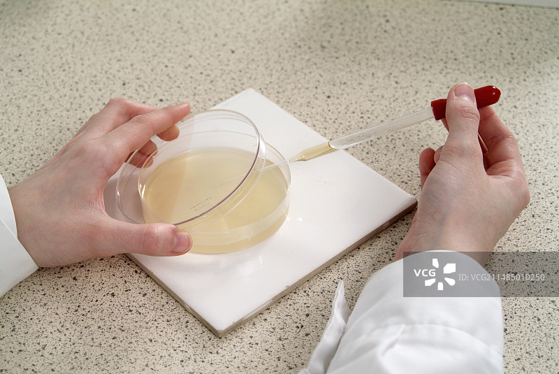 微生物培养制备图片素材