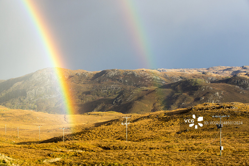 秋季橙色的鹿草图片素材