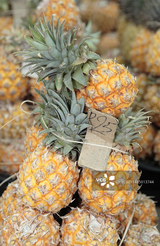 待售的菠萝图片素材