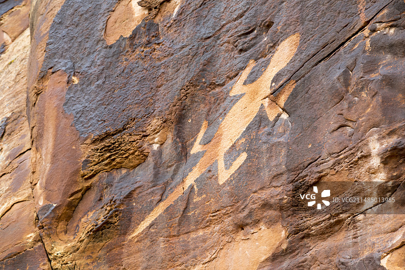 美国砂岩上的蜥蜴岩画图片素材