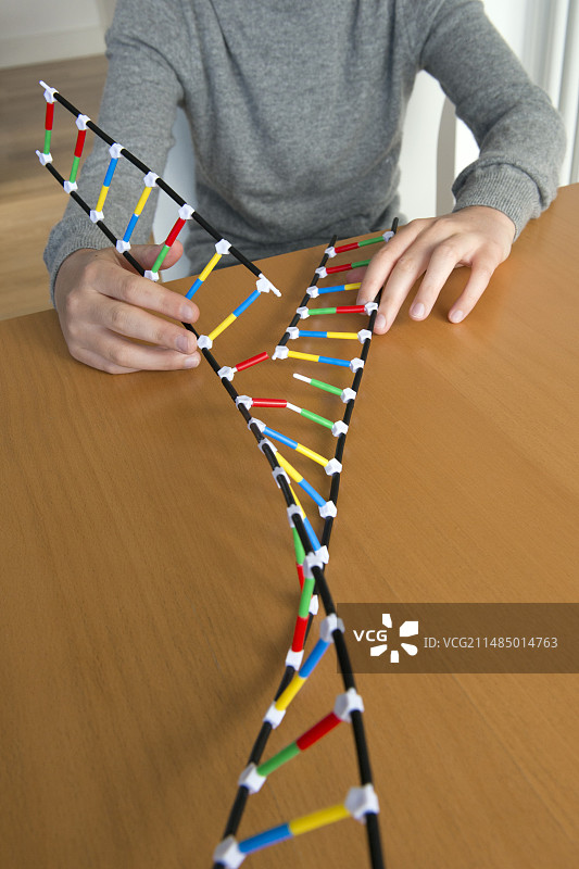 青少年演示DNA复制图片素材