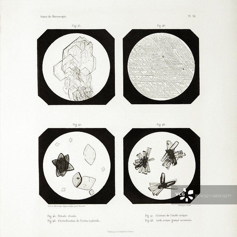 1845年最早显微照片图片素材