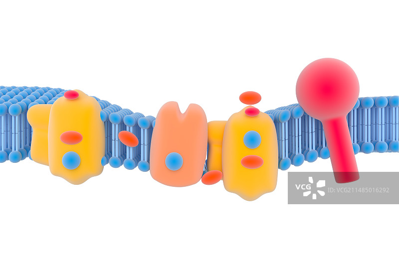 光合作用光系统图示图片素材