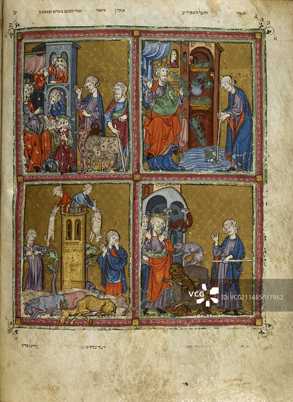 金色哈加达图片素材