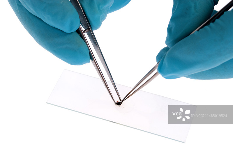 将样本放在显微镜载玻片上图片素材