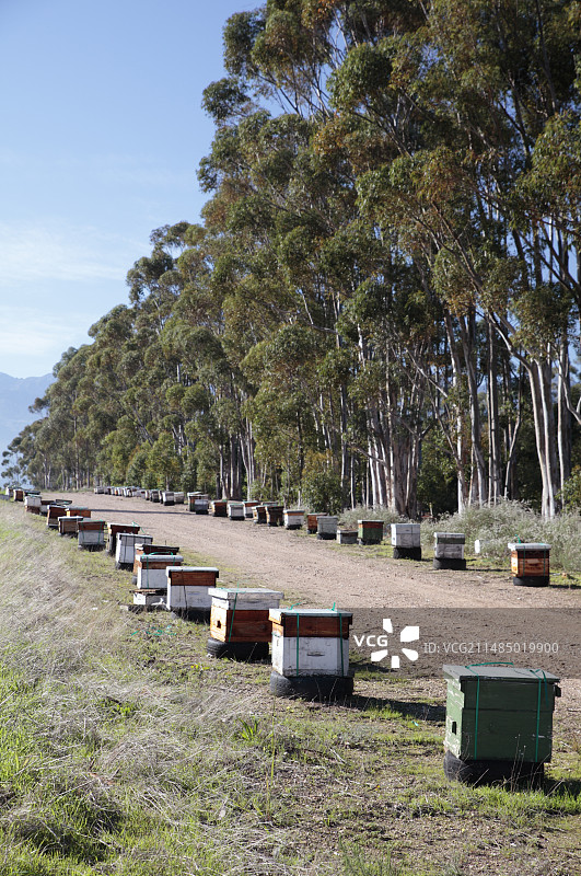 南非蜂箱图片素材
