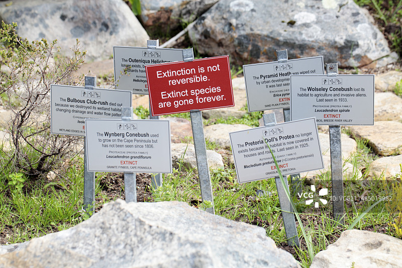 灭绝迹象，南非图片素材