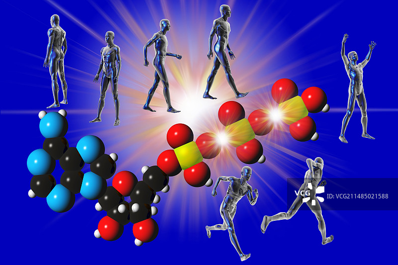 细胞代谢图片素材